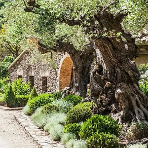 Maison d'hôtes Domaine Les Mésanges, Gassin